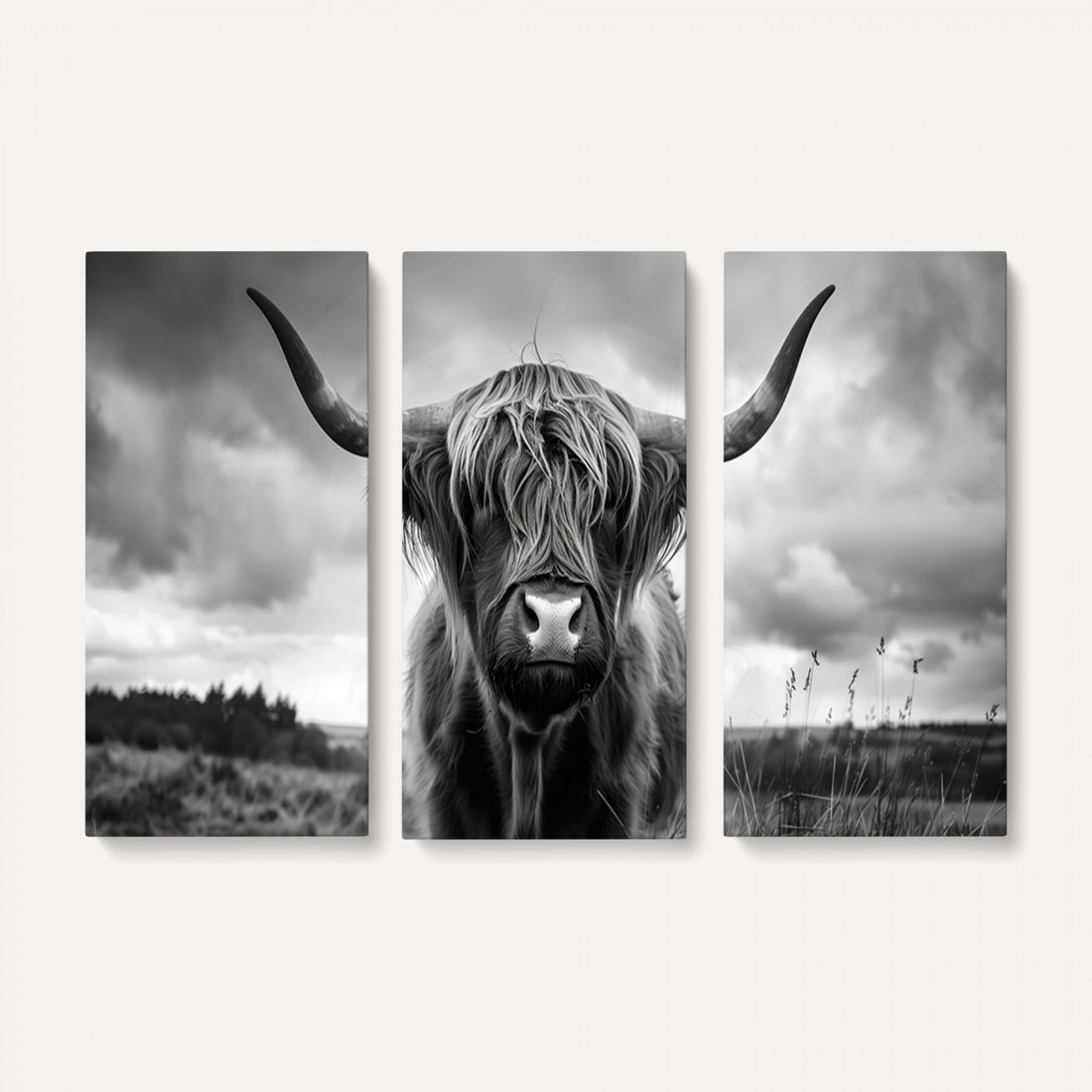 Scottish Cow Wall Art Canvas Print, Longhorn Wall Art