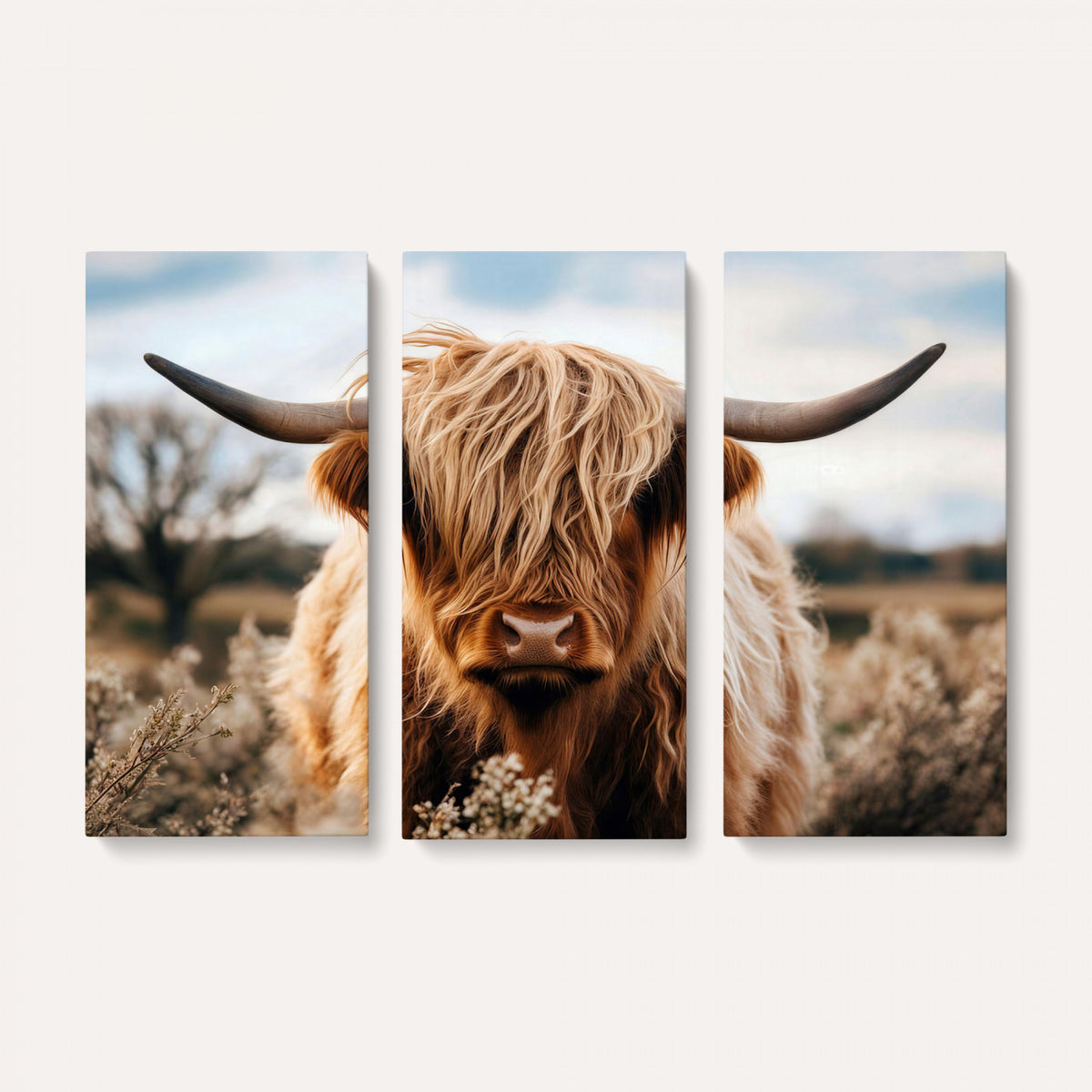 55903-_Poster-30x20 - Scottish Cow Longhorn Wall Art Canvas Print