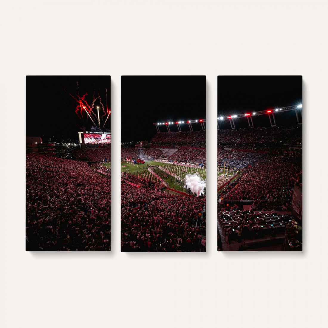 William Brice Stadium Wall Art Print, Baseball Game Room
