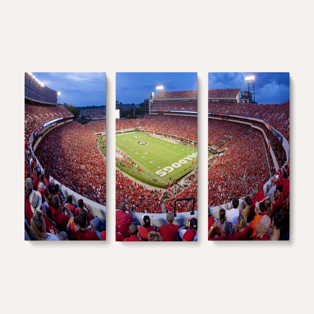 Dooley Stadium Wall Art, Sports Arena Canvas Print, Dooley Field, Home Bar Wall Decor