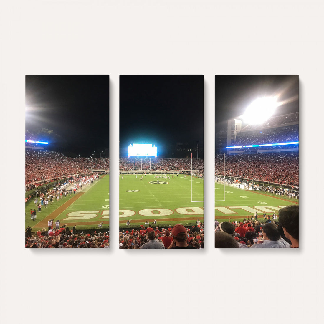 Dooley Stadium Wall Art, Sports Arena Panoramic Canvas