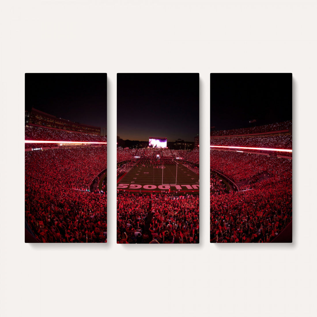 Sanford Stadium Wall Art Canvas Print, Georgia Bulldogs