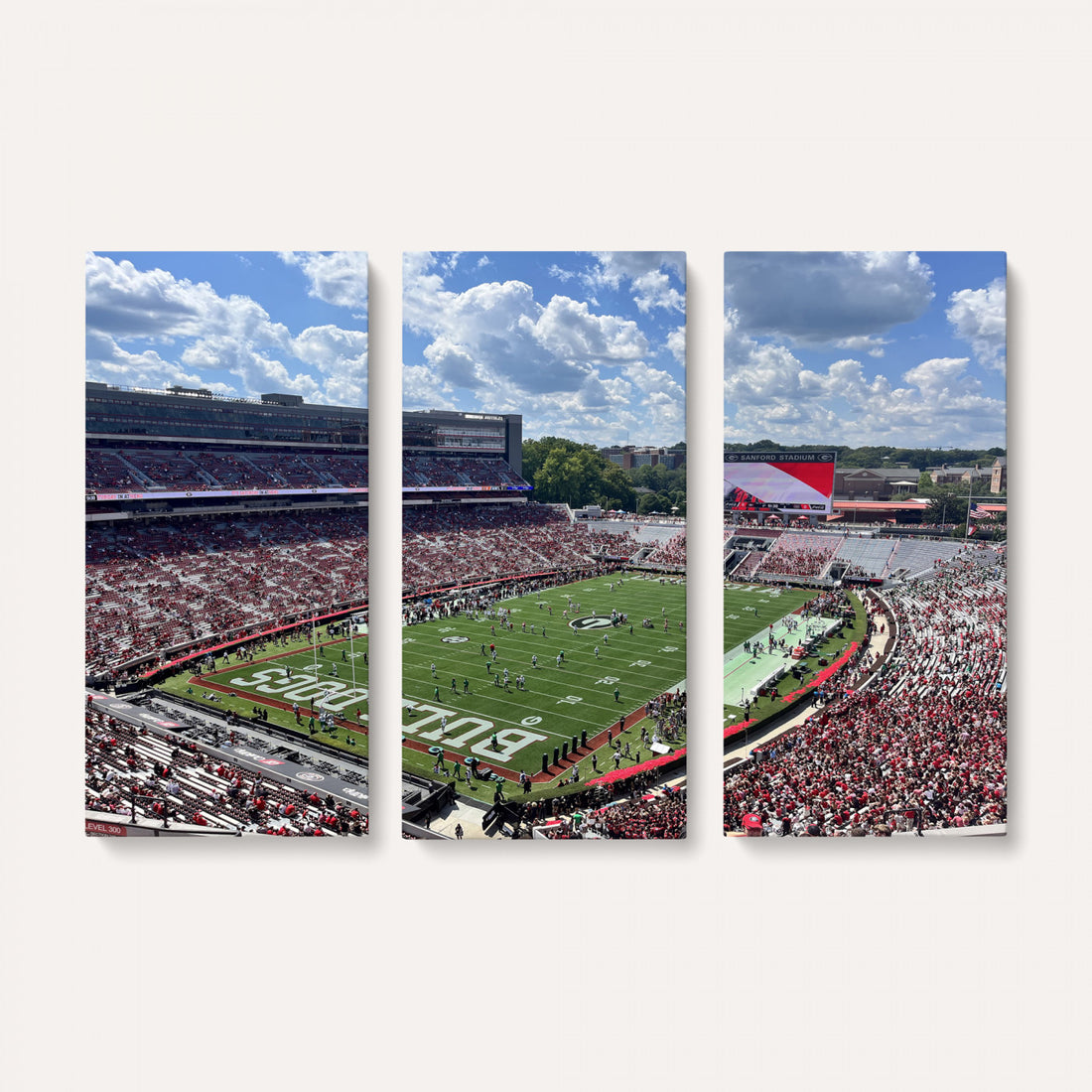 Georgia Bulldogs Stadium Wall Art Canvas Print, Sanford, Framed and Ready to Hang
