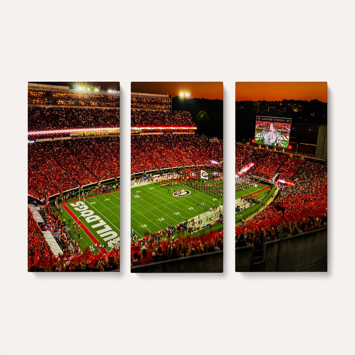 48894104-MGV-CV-36X24 - Georgia Bulldogs Stadium Wall Art Canvas Print, Sanford Stadium