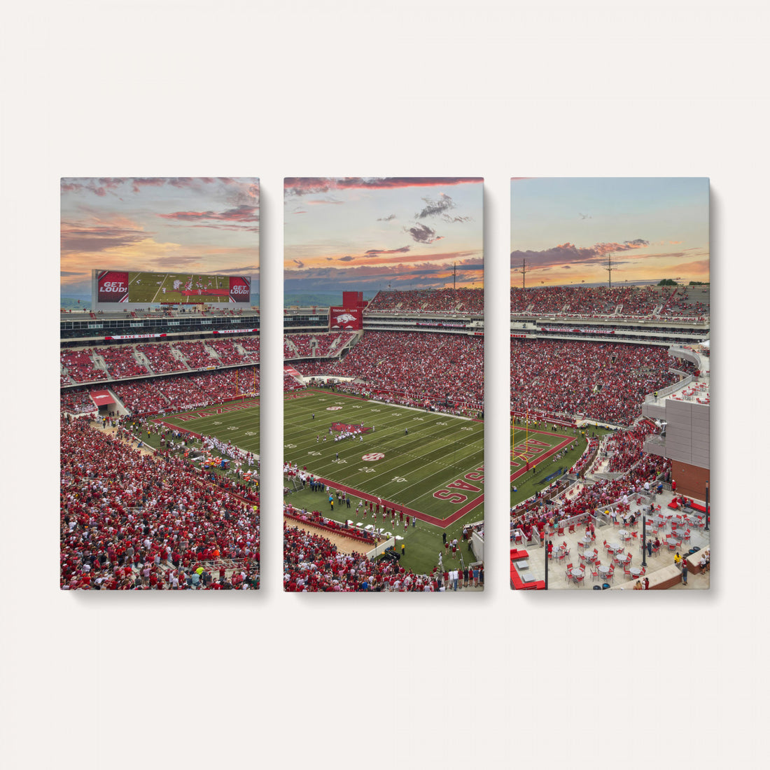 Donald W. Reynolds Razorback Stadium Wall Art Canvas Print