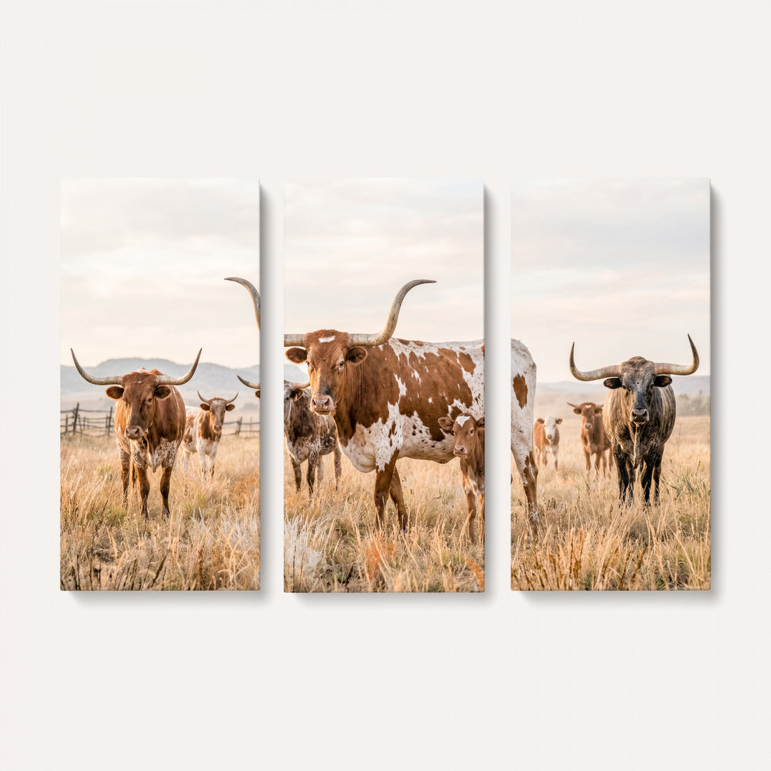 Texas Longhorn Canvas Wall Art, Rustic Farm Animal Photography Print