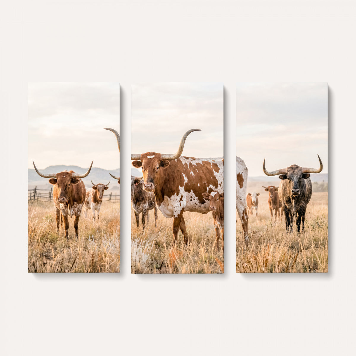 62336425AC-MGV-CV-36X24 - Texas Longhorn Canvas Wall Art, Rustic Farm Animal Photography Print, Farmhouse Country Decor, Western Ranch Art
