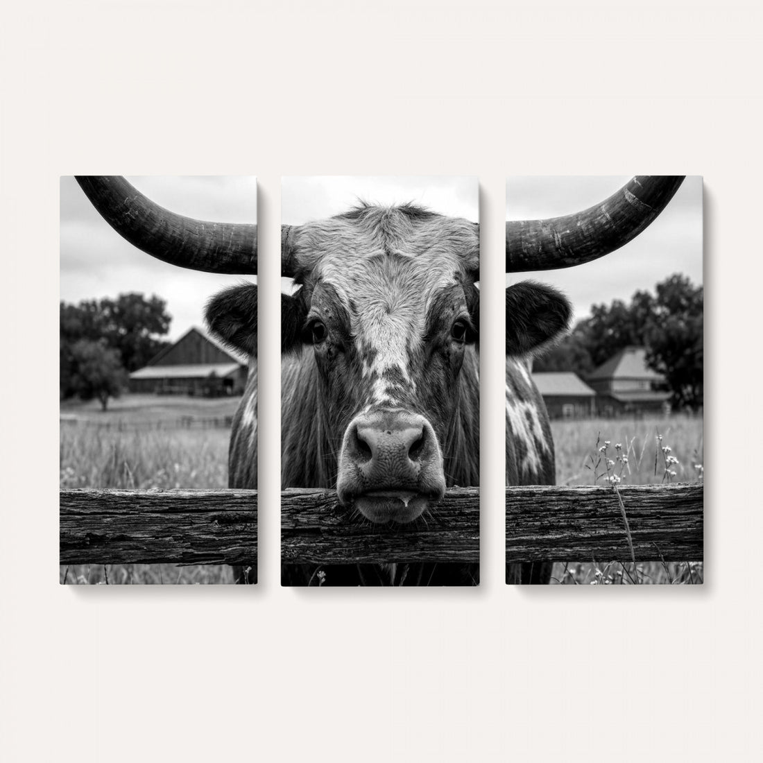 Black White Texas Longhorn Bull Canvas Wall Art, Western Ranch Cattle Photo Print