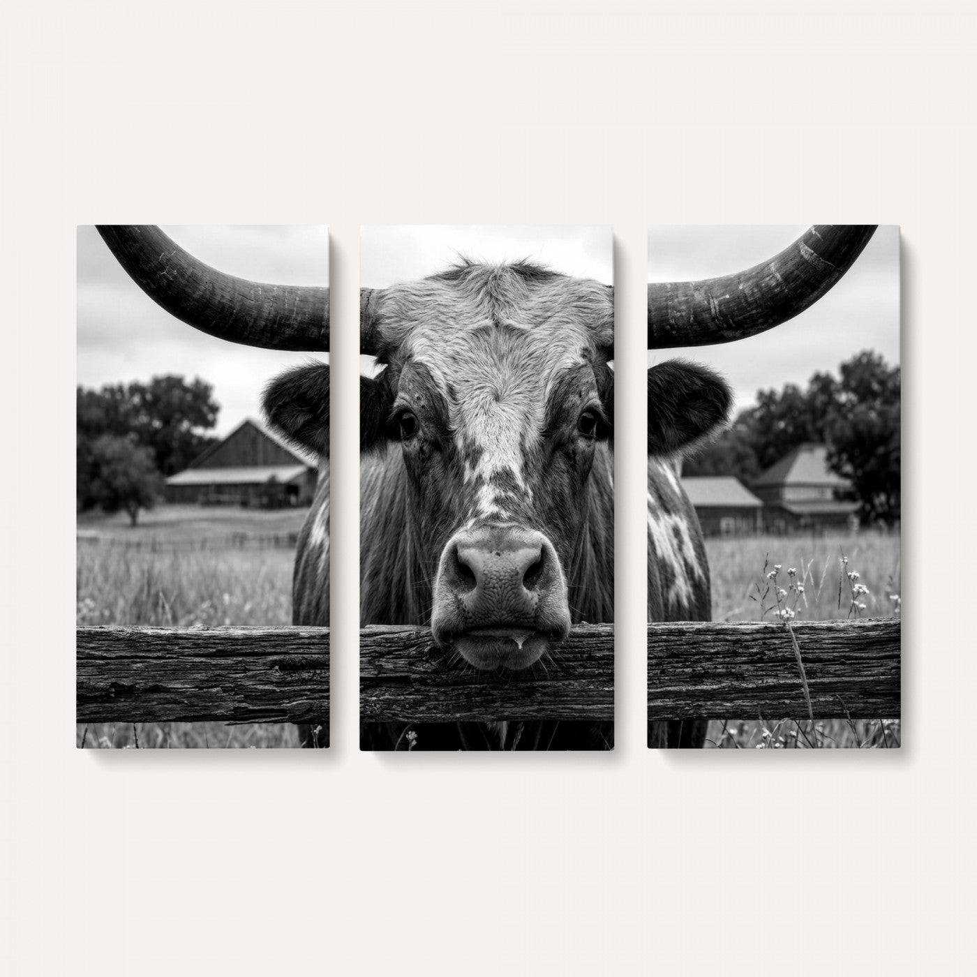 59378683B-MGV-CV-36X24 - Black White Texas Longhorn Bull Canvas Wall Art, Western Ranch Cattle Photography Print, Rustic Farmhouse Cowboy Decor Artwork