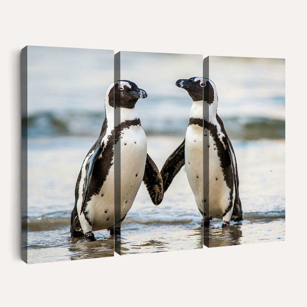 64870405-MGV-TP-30X20 - African Penguins Boulders Beach Wall Art Canvas Print, Cute Penguin Couple Photo Print