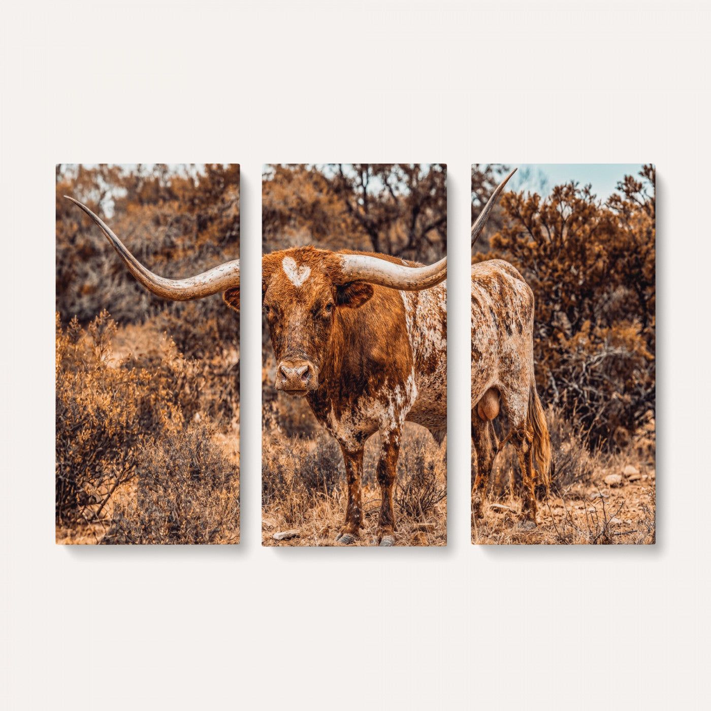 62076449-MGV-CV-36X24 - Texas Cow Bull Longhorn Print for Western Wall Art Decor for Farmhouse