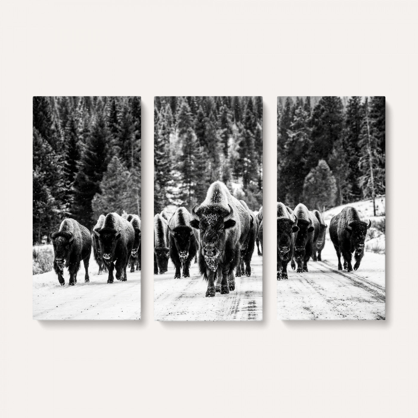 79337077-MGV-CV-36X24 - Black and White Bison Canvas Art, American Buffalo Print, Winter Wildlife Photography, Rustic Forest Wall Decor, Large Statement Nature Gift