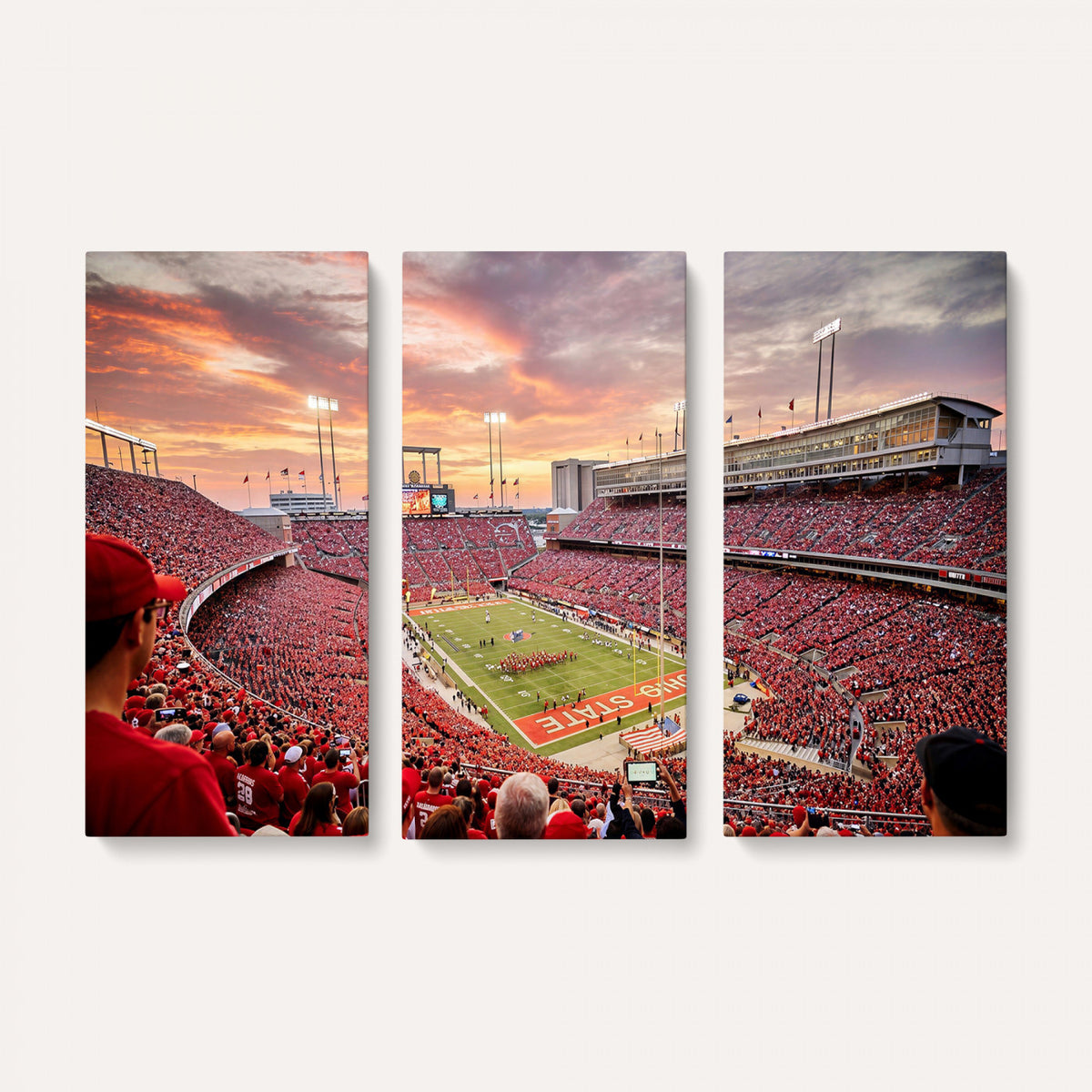 94754966-MGV-CV-36X24 - Stadium Wall Art Canvas Print
