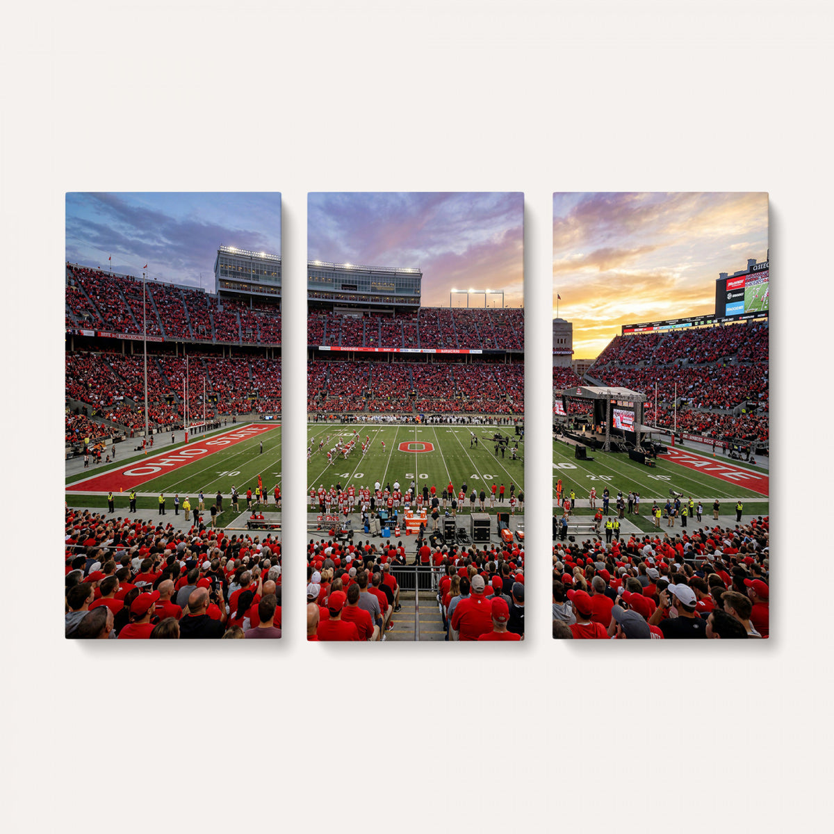 23196993-MGV-CV-36X24 - Stadium Wall Art Canvas Print
