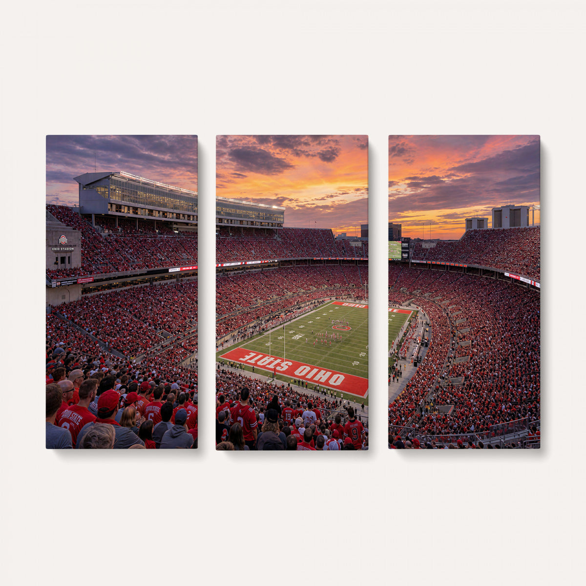 95137596-MGV-CV-36X24 - Stadium Wall Art Canvas Print