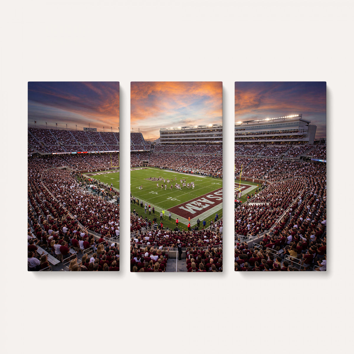 66624578-MGV-CV-36X24 - Stadium Wall Art Canvas Print