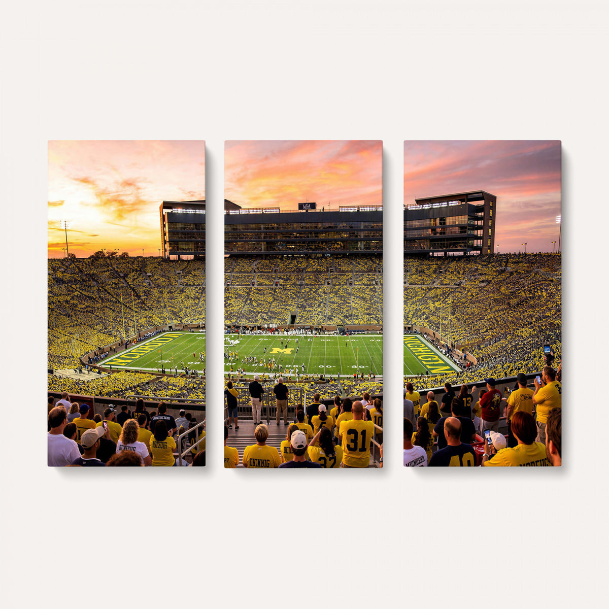 27265223-MGV-CV-36X24 - Stadium Wall Art Canvas Print