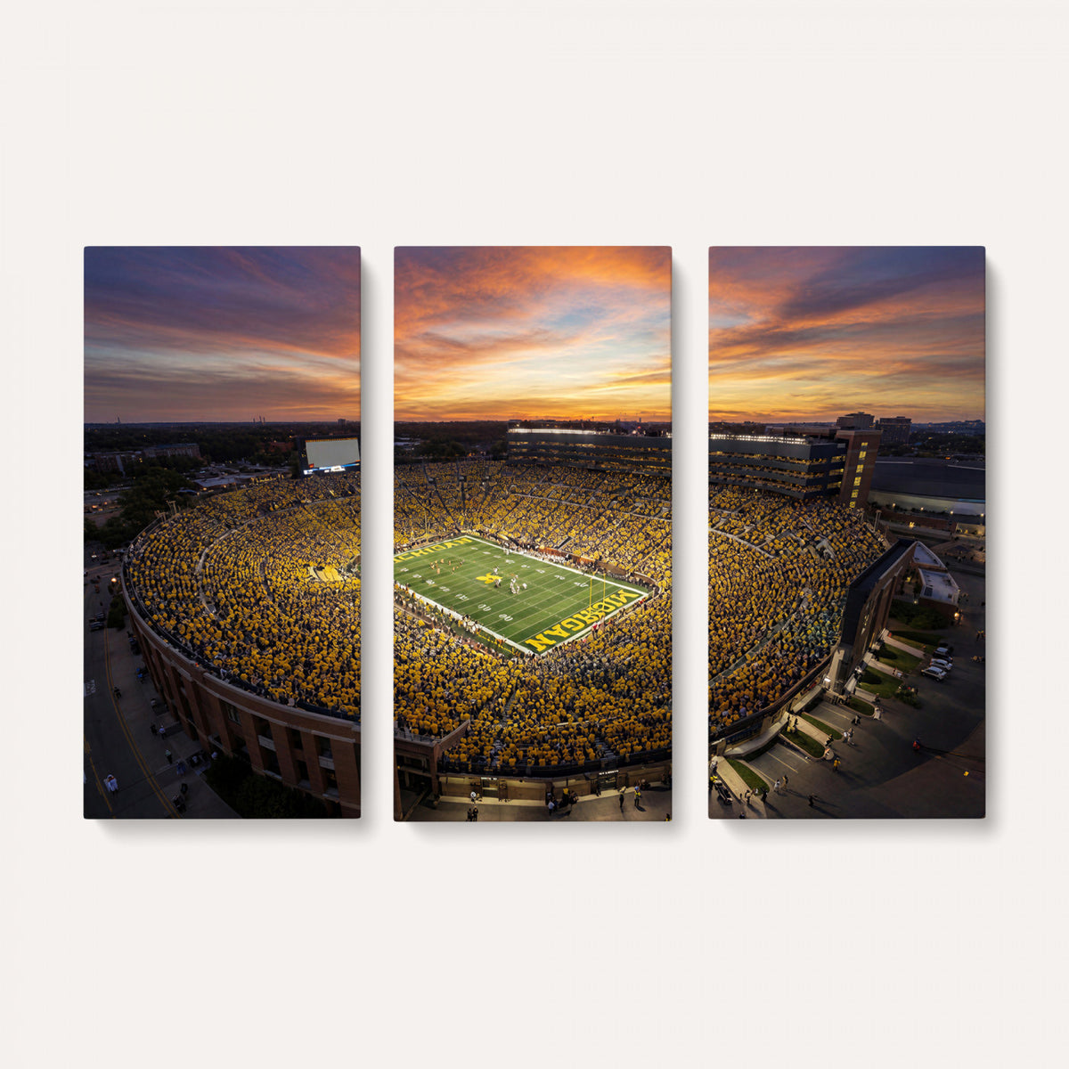 64902586-MGV-CV-36X24 - Stadium Wall Art Canvas Print
