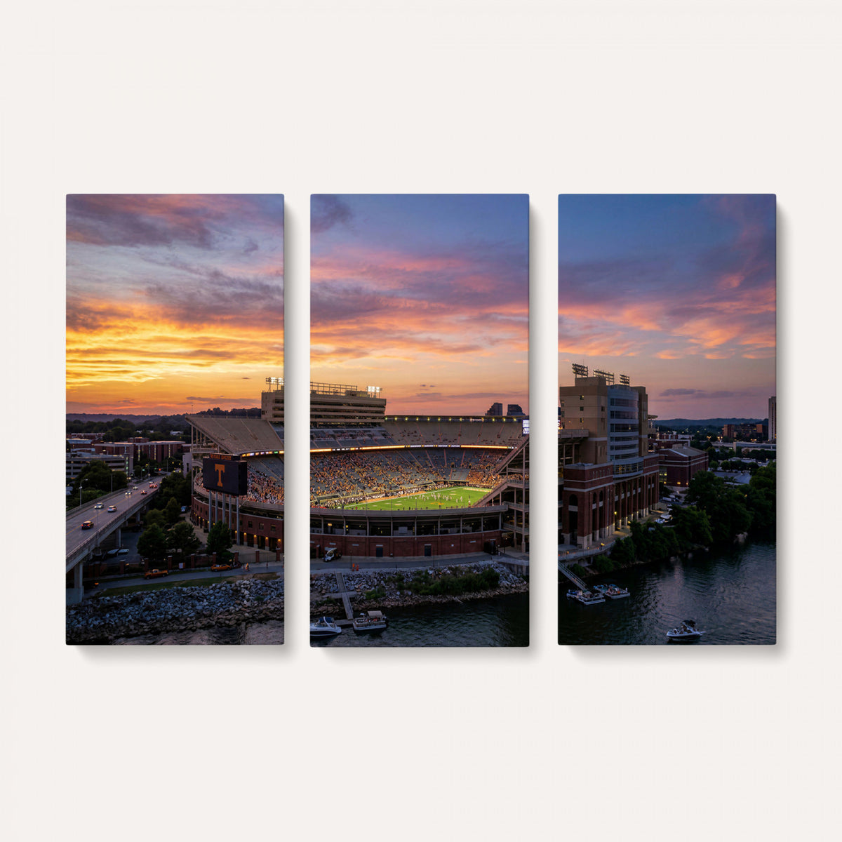 61093642-MGV-CV-36X24 - Stadium Wall Art Canvas Print