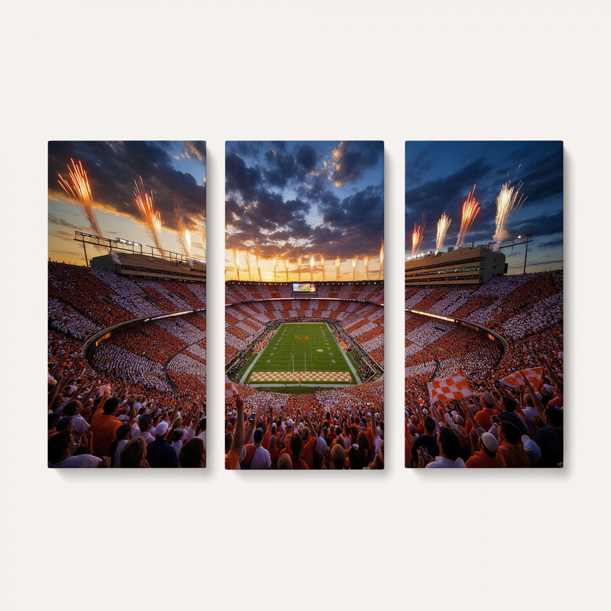29672818-MGV-CV-36X24 - Stadium Wall Art Canvas Print