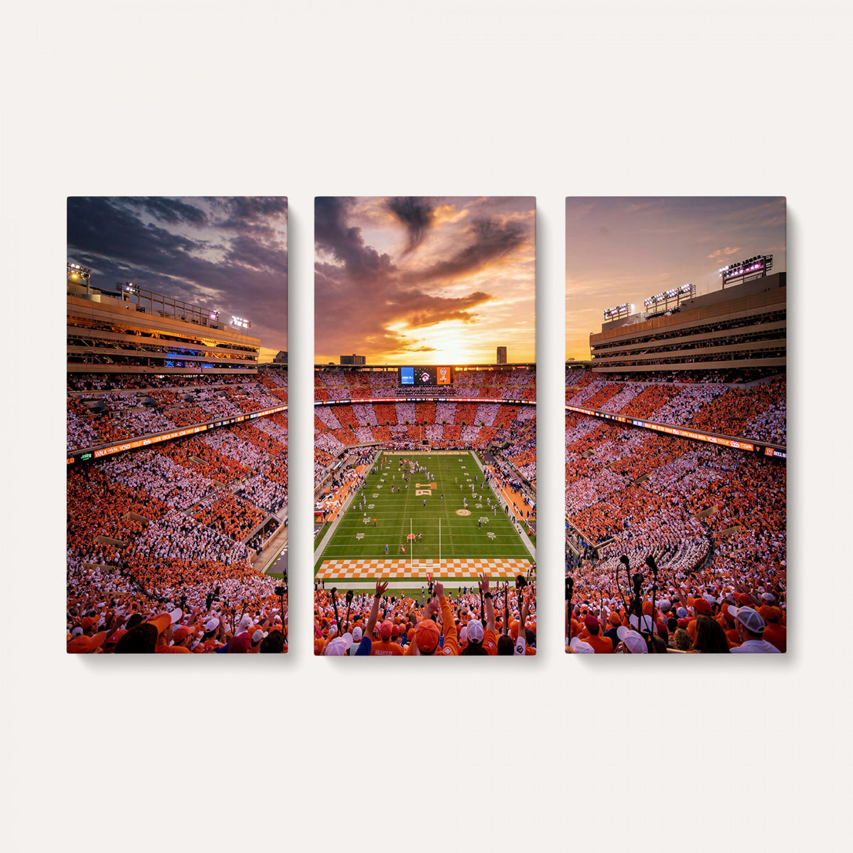 68184875-MGV-CV-36X24 - Stadium Wall Art Canvas Print