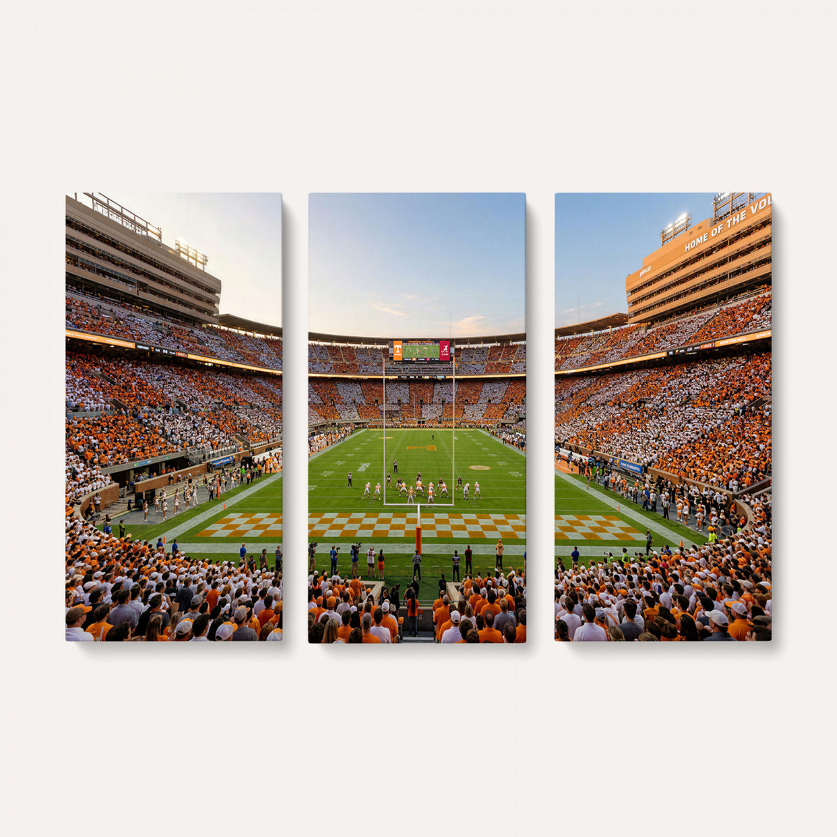 74509135-MGV-CV-36X24 - Stadium Wall Art Canvas Print