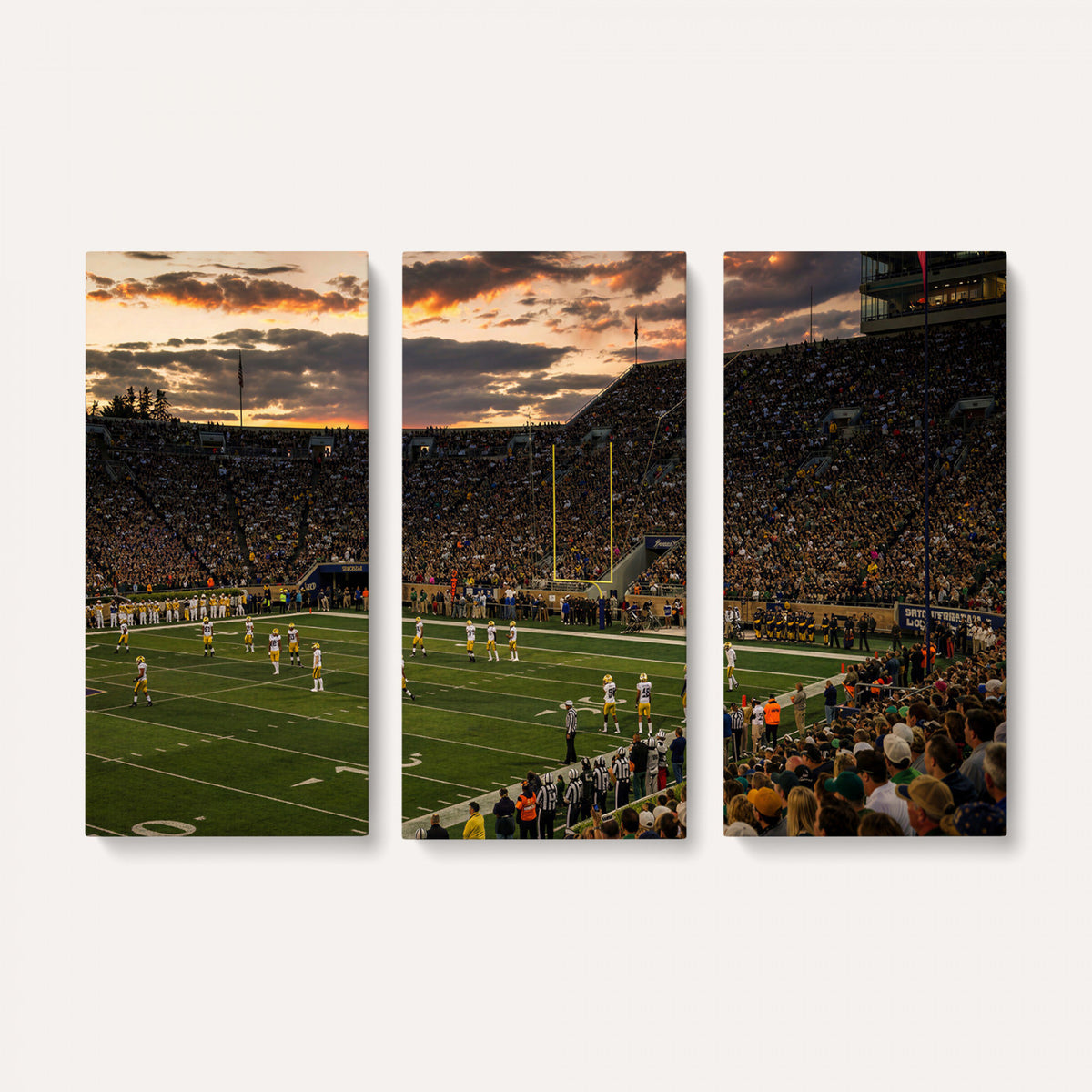 17703678-MGV-CV-36X24 - Stadium Wall Art Canvas Print