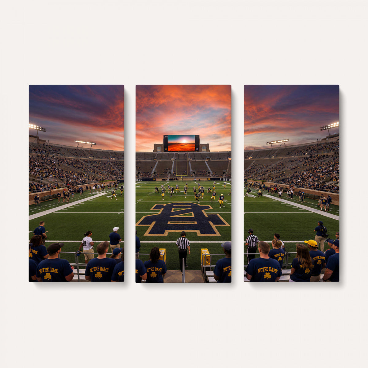 75411323-MGV-CV-36X24 - Stadium Wall Art Canvas Print