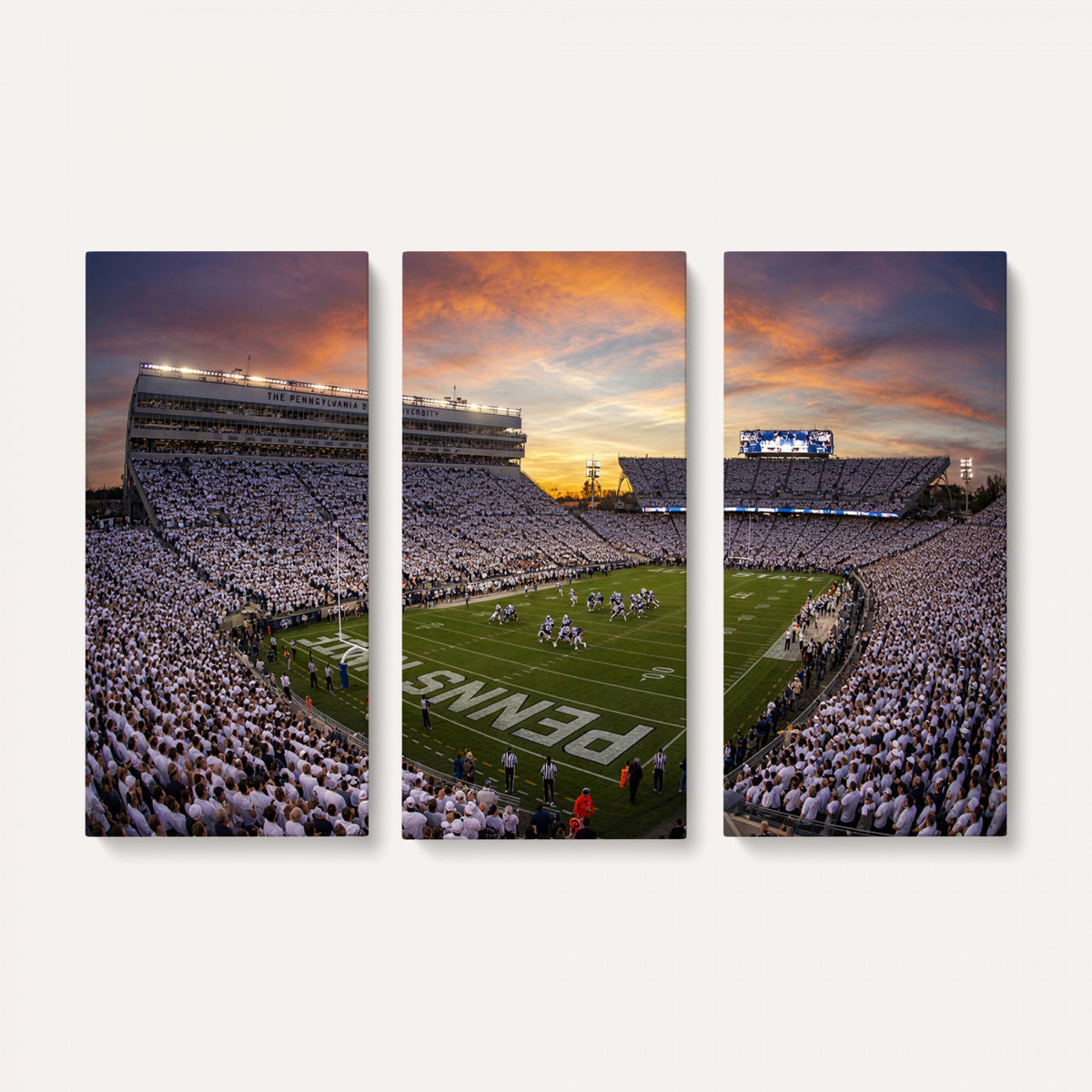 37485833-MGV-CV-36X24 - Stadium Wall Art Canvas Print
