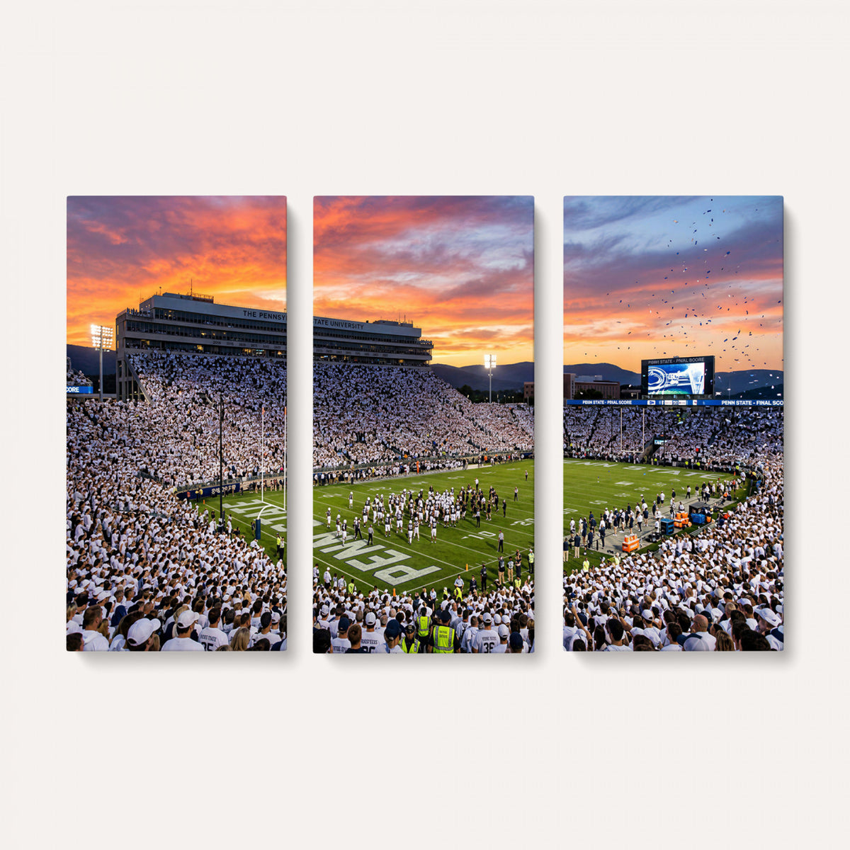 37057330-MGV-CV-36X24 - Stadium Wall Art Canvas Print