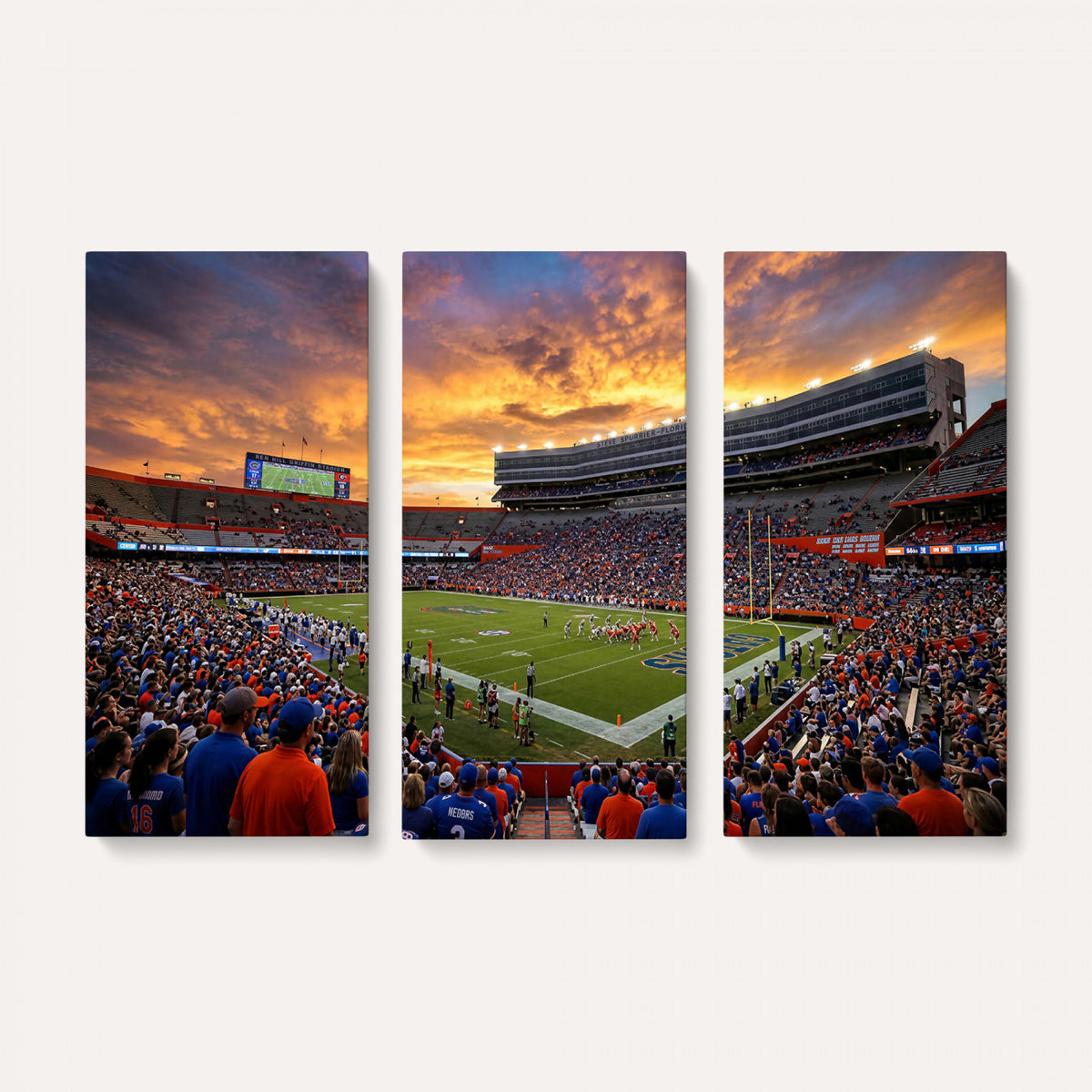 23829865-MGV-CV-36X24 - Stadium Wall Art Canvas Print
