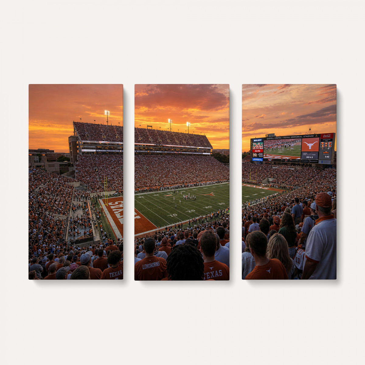 50466060-MGV-CV-36X24 - Stadium Wall Art Canvas Print