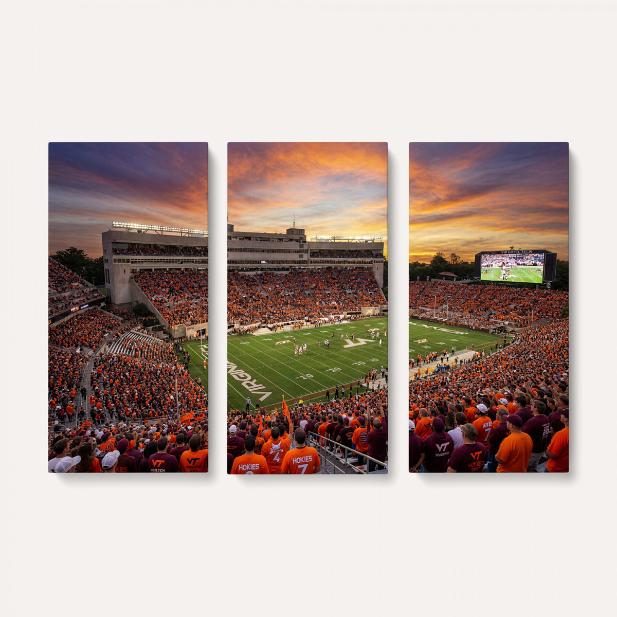 23178259-MGV-CV-36X24 - Stadium Wall Art Canvas Print
