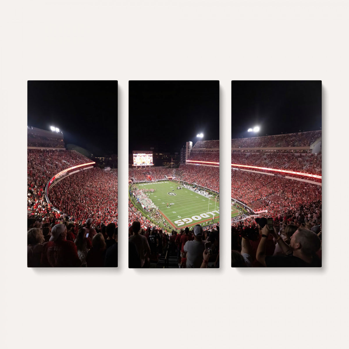 50587166-_Poster-30x20 - Sanford Stadium Georgia Bulldogs Canvas Print 3 Piece Framed Wall Art Extra Large Floating Frame Sports Poster Made in USA