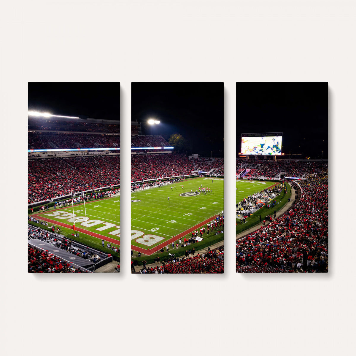73520603-_Poster-30x20 - Georgia Bulldogs Sanford Stadium Canvas Print 3 Piece Framed Wall Art Extra Large Floating Frame Nature Poster Made in USA