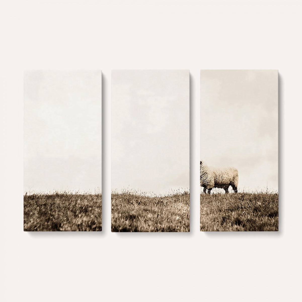 72749448-MGV-TP-30X20 - Minimalist Sepia Sheep Canvas Wall Art - Rustic Farmhouse Country Landscape Print