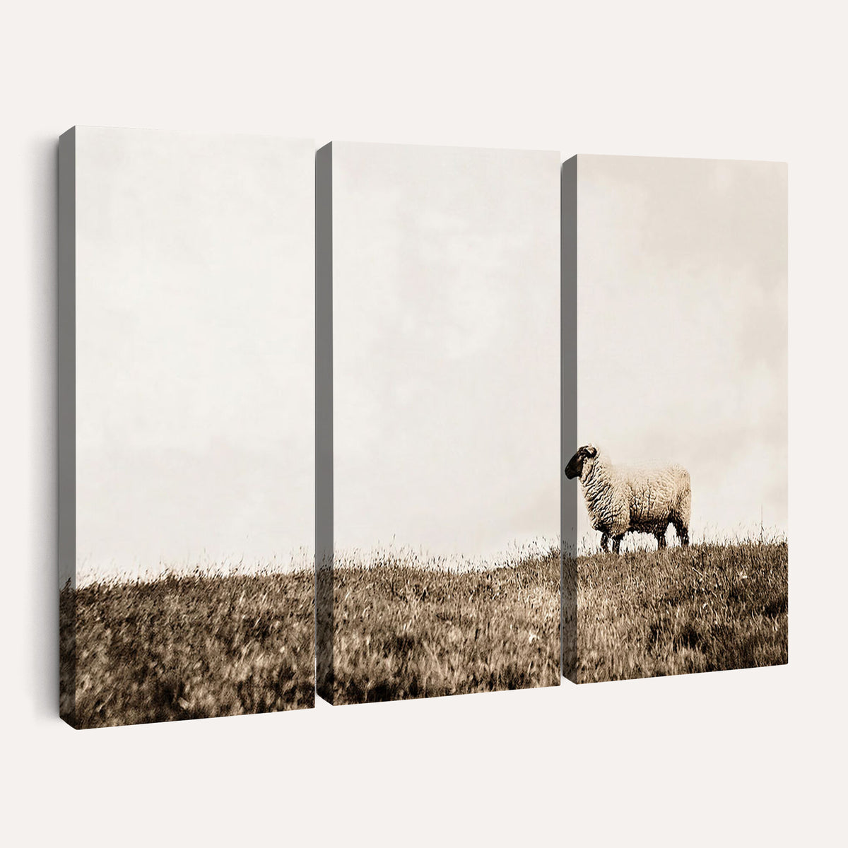 72749448-MGV-TP-30X20 - Minimalist Sepia Sheep Canvas Wall Art - Rustic Farmhouse Country Landscape Print