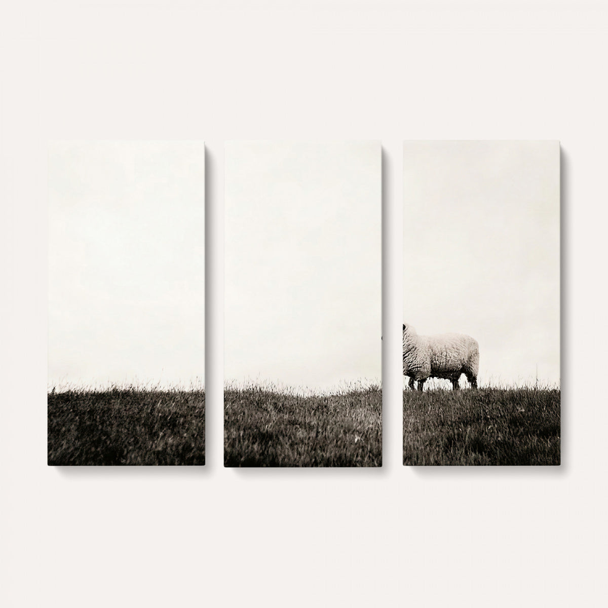 72749448-MGV-TP-30X20 - Minimalist Sepia Sheep Canvas Wall Art - Rustic Farmhouse Country Landscape Print