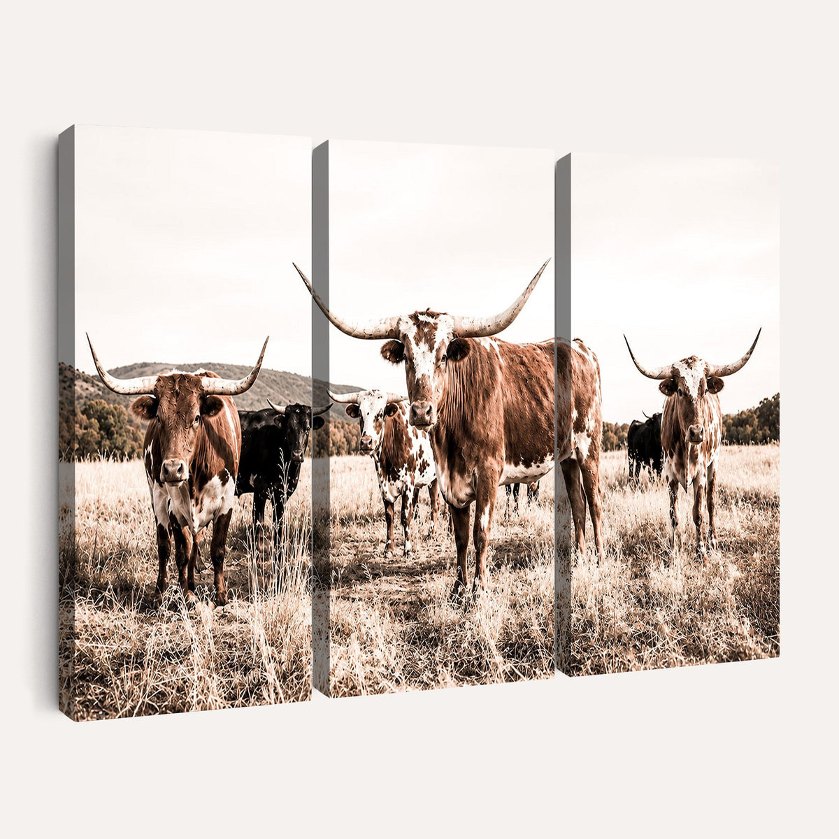 25234808-MGV-CV-48X32-3P - Texas Longhorn Cattle Canvas Wall Art, Western Ranch Home Decor