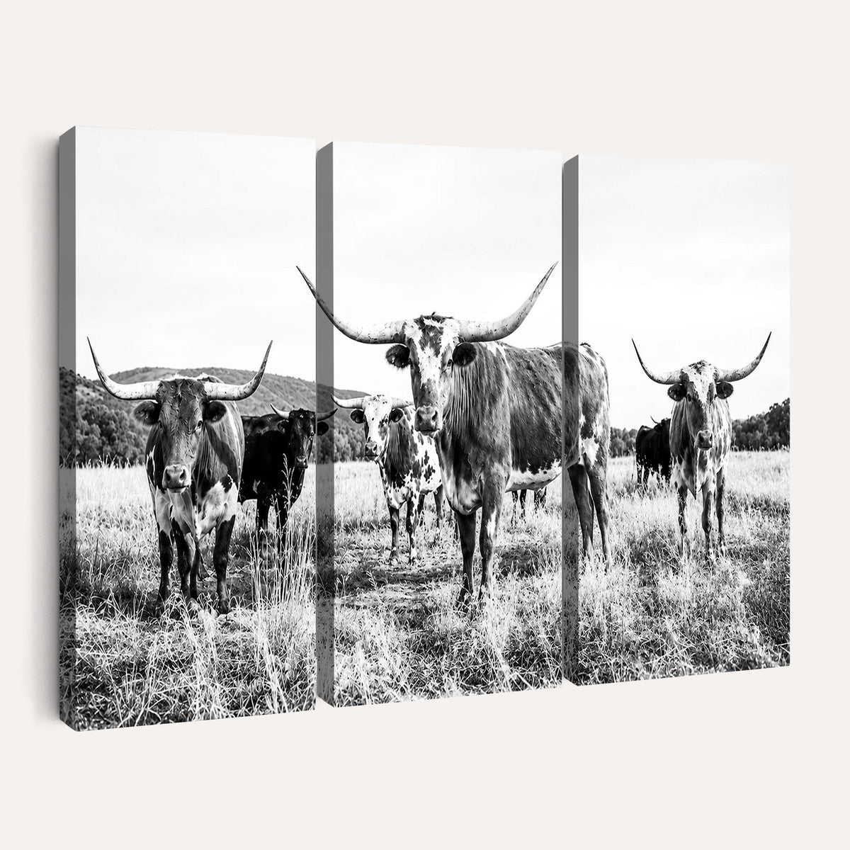 73228277-MGV-CV-48X32-3P - Black and White Longhorn Cattle Canvas Print, Western Ranch Wall Decor