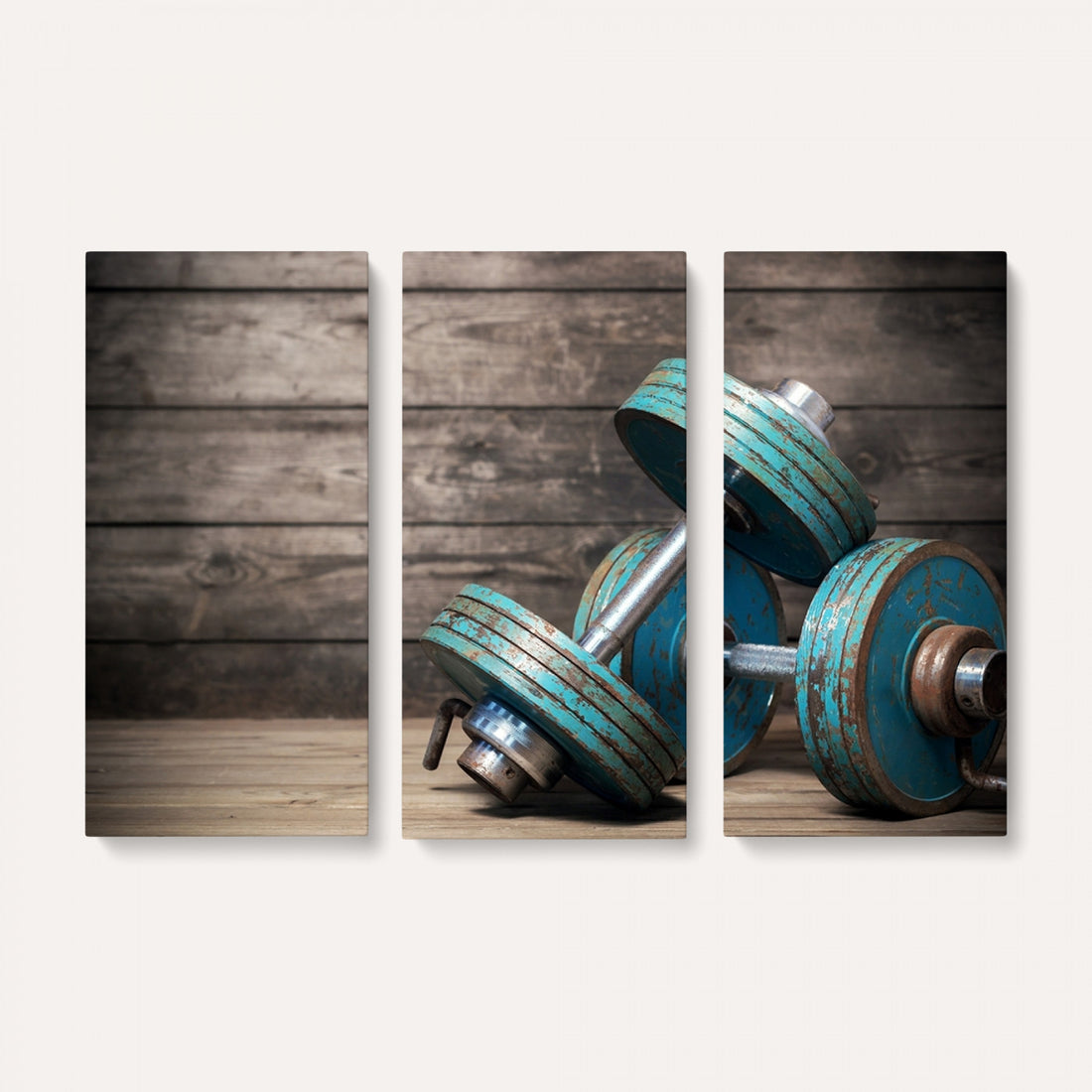 Dumbbell and Sport Wall Art Canvas Print