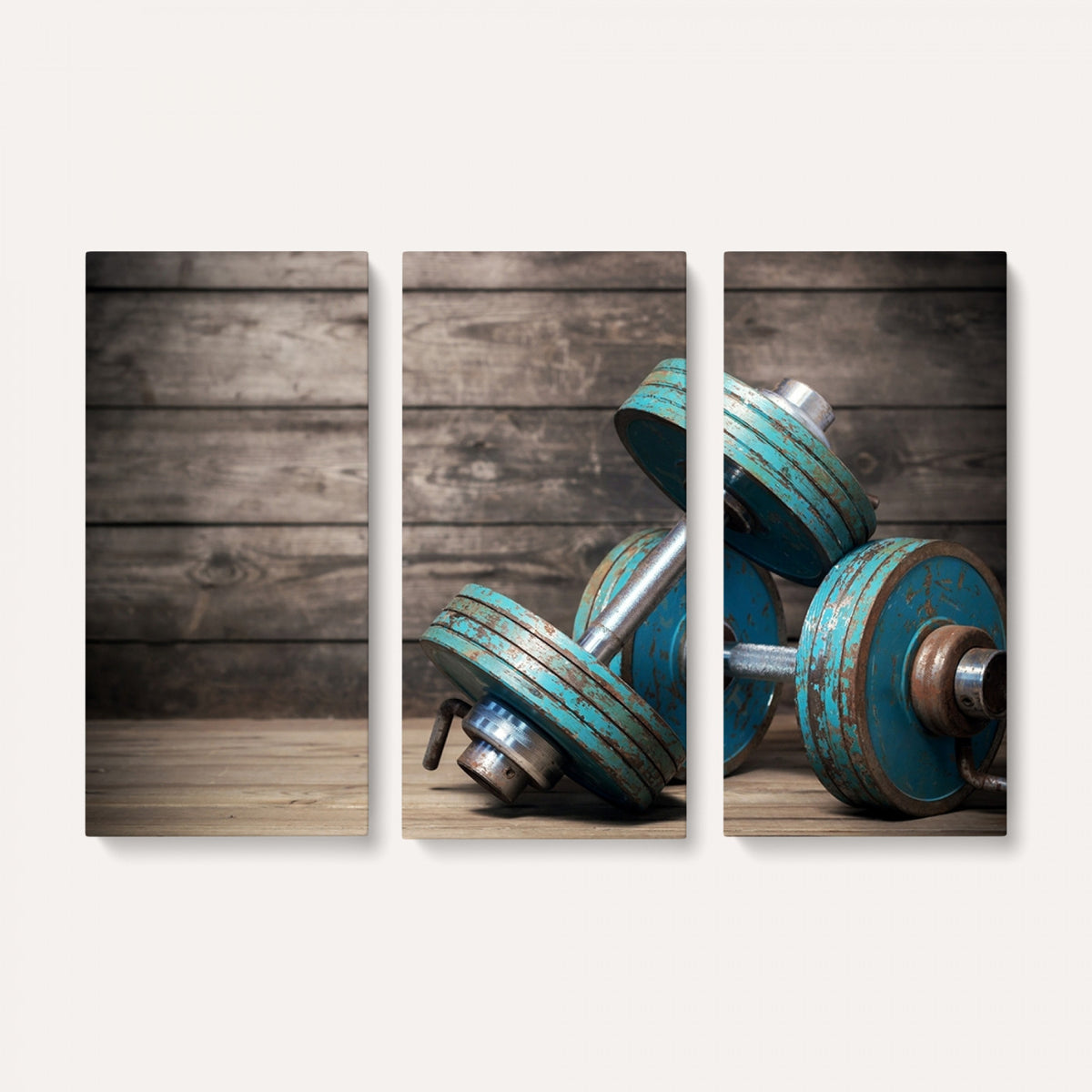 39364-MGV-CV-36X24 - Dumbbell and Sport Wall Art Canvas Print