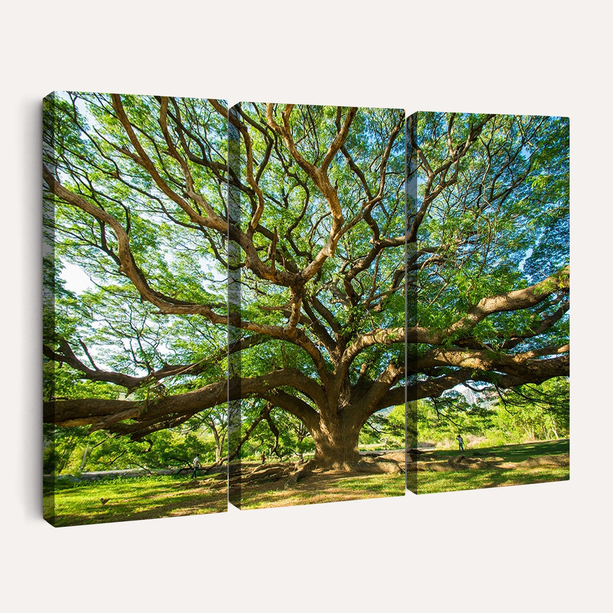 70569-MGV-CV-24X16 - Majestic Oak Tree Wall Art | Serene Nature Canvas Print with Spreading Branches