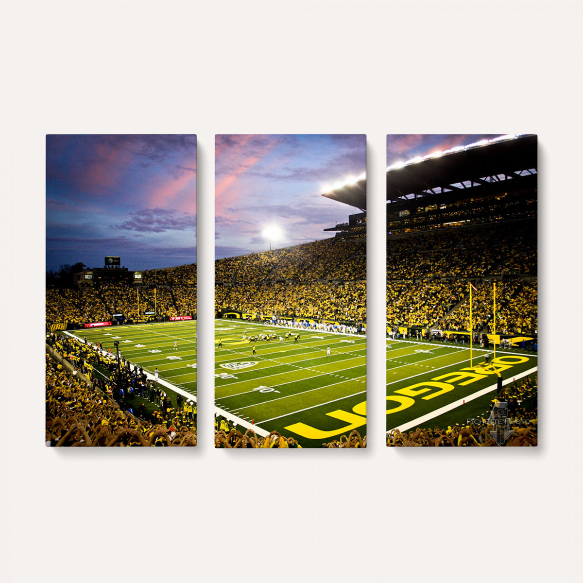 72017-MGV-CV-36X24 - University of Oregon Ducks Football Team Print, Eugene, Framed and Ready to Hang