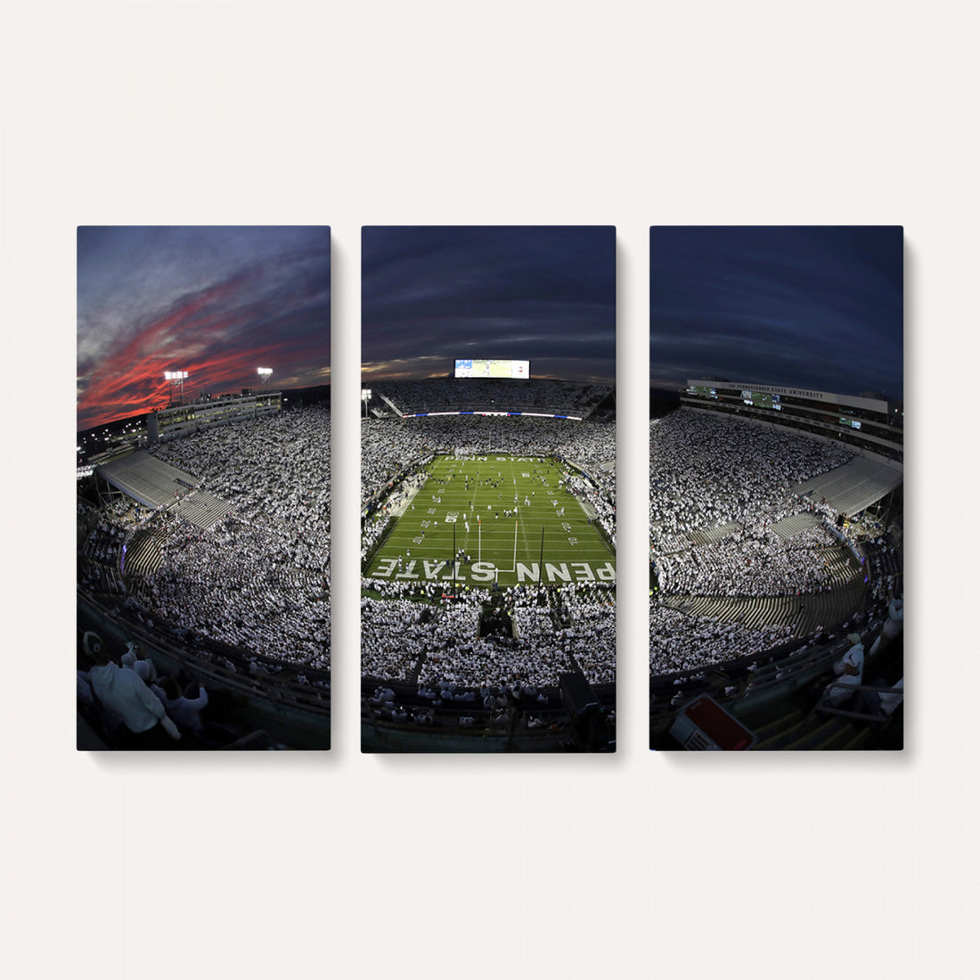 Penn State University Nittany Lions Football Team Print