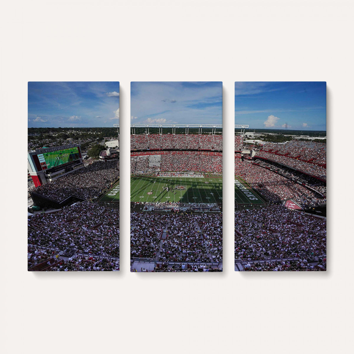 83382-MGV-CV-36X24 - South Carolina Gamecocks Football Team Print, Columbia Williams-Brice Stadium Wall Art