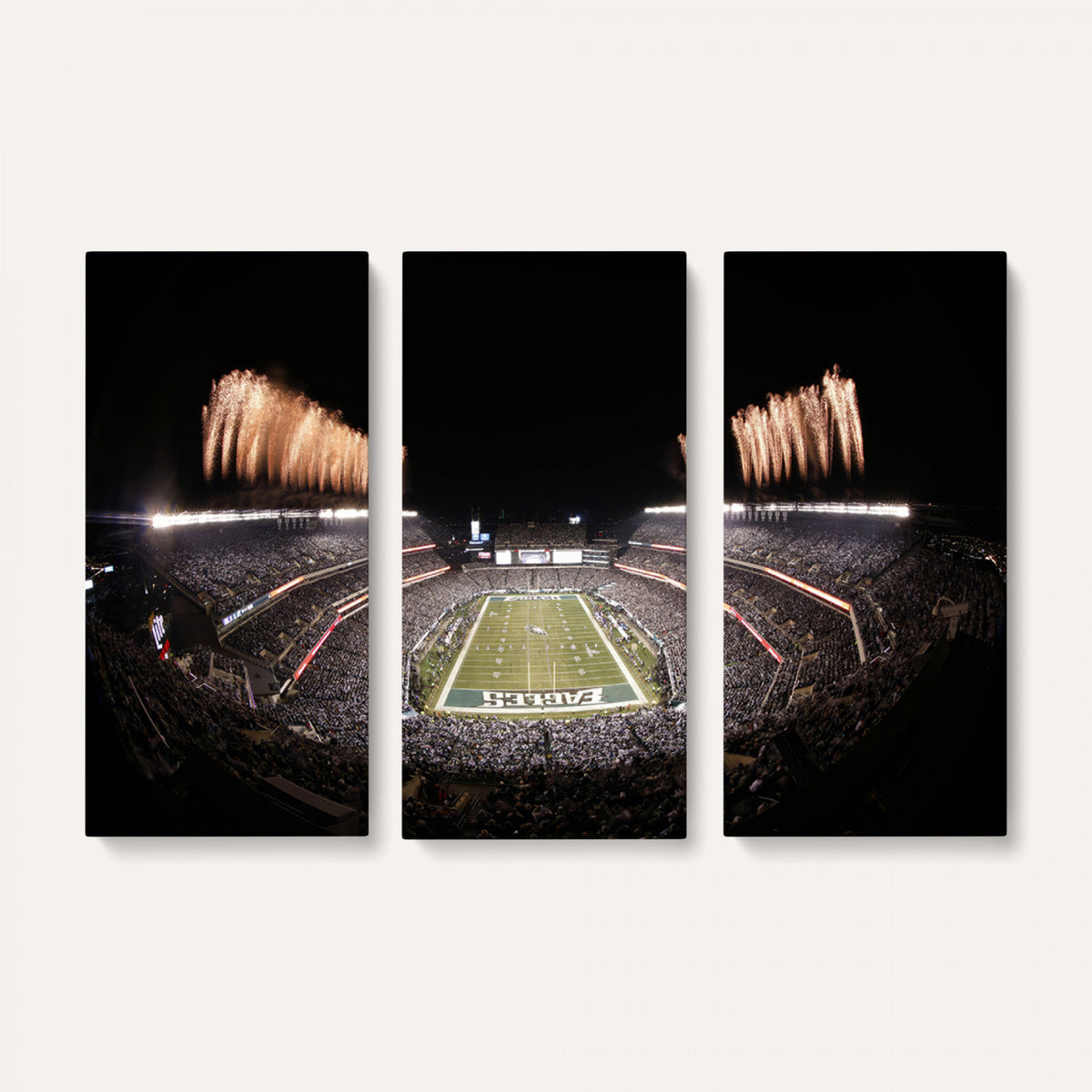 48893-MGV-CV-36X24 - Eagles Field Stadium Wall Art, Lincoln Financial Field