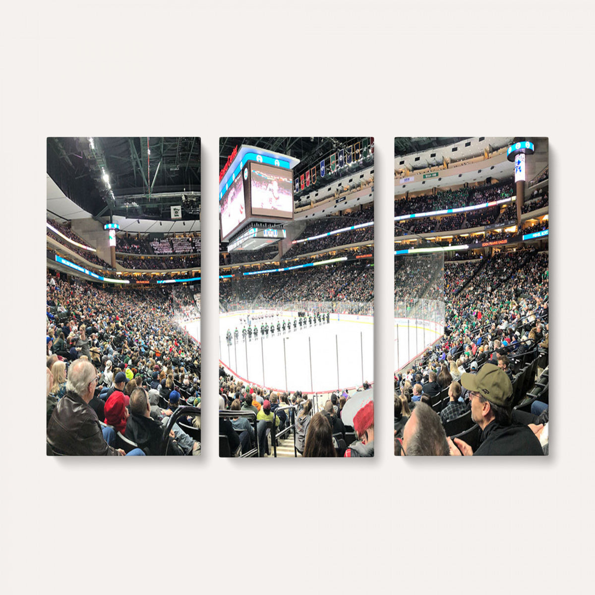 44414-MGV-CV-36X24 - Xcel Energy Center St Paul Minnesota Wild Ice Hockey Stadium