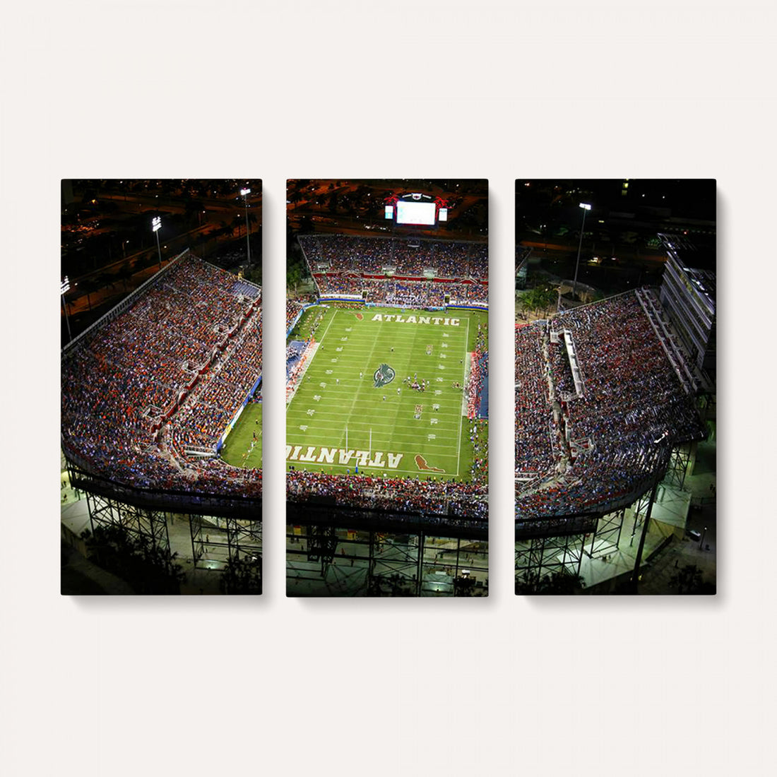 Florida Atlantic University Owls Football Team Print, Boca Raton, Framed and Ready to Hang