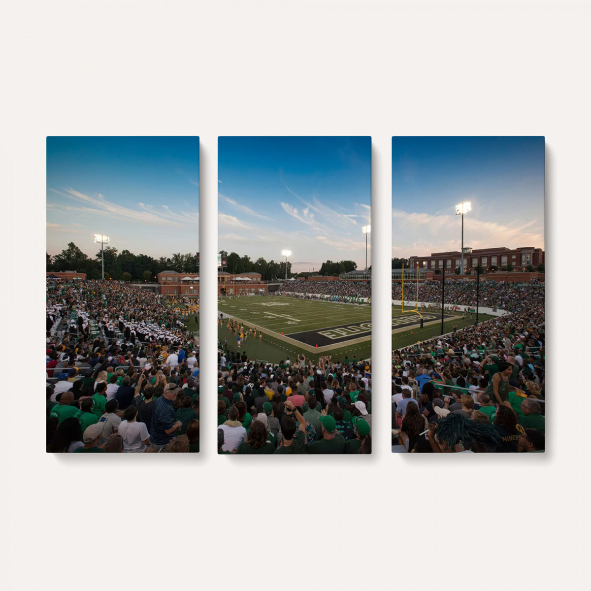 12290-MGV-CV-36X24 - University of Charlotte 49ers Football Team Print - Charlotte Jerry Richardson Stadium Wall Art